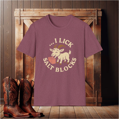 I Lick Salt Blocks T-Shirt